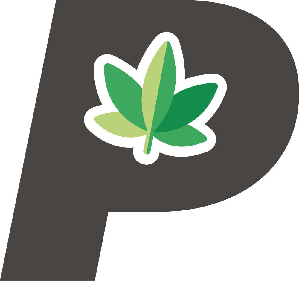 logo p noir